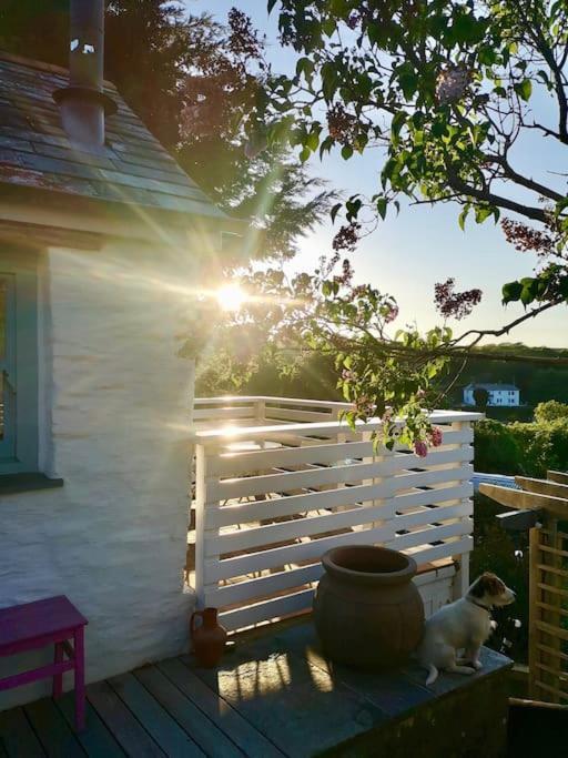 The Little Post House. A Perfect Village Retreat, With Stunning Views. 博斯卡斯尔 外观 照片